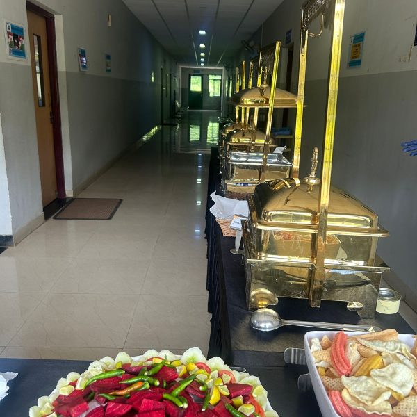 Regional ayurvedic research institute Kothrud